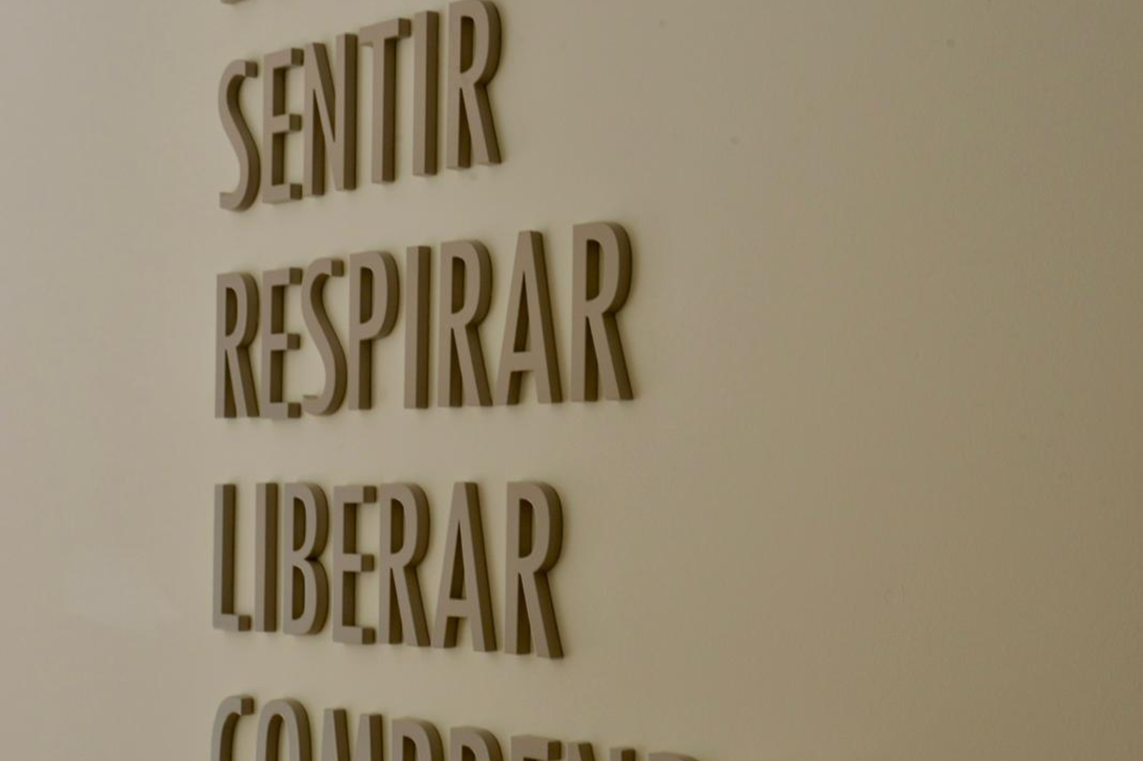 Diseño sin título - 2026-03-25T161247.319